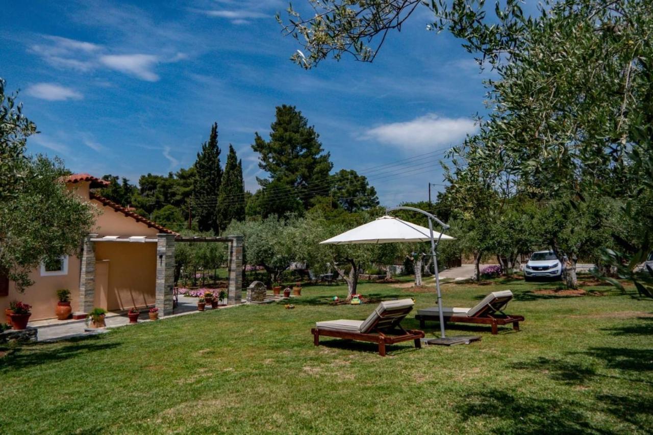 Small Paradise Nikiti (Sithonia) Exterior foto