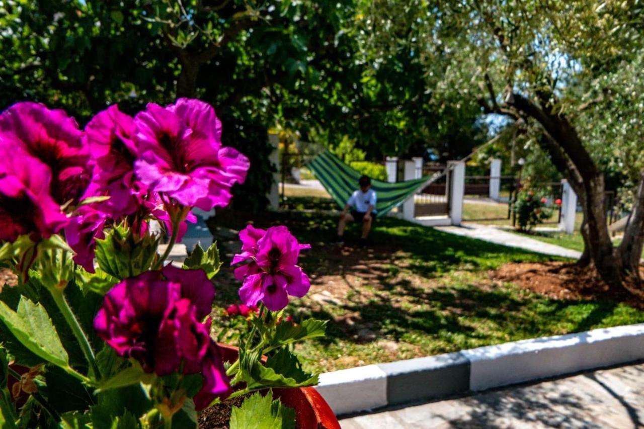 Small Paradise Nikiti (Sithonia) Exterior foto